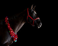 2020Holiday_Allie_0593