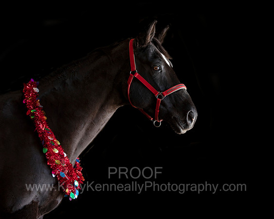 2020Holiday_Allie_0593