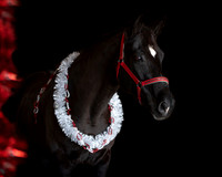 2020Holiday_Allie_0613
