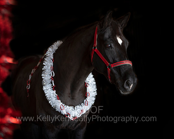 2020Holiday_Allie_0613