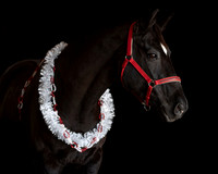 2020Holiday_Allie_0615