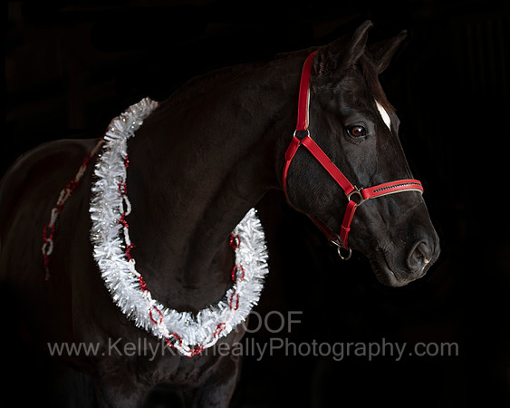 2020Holiday_Allie_0615