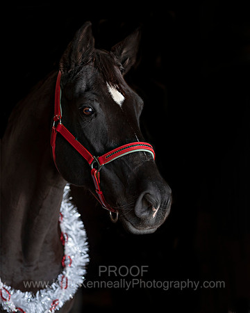 2020Holiday_Allie_0629