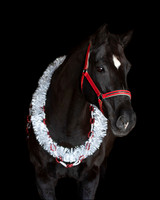 2020Holiday_Allie_0648