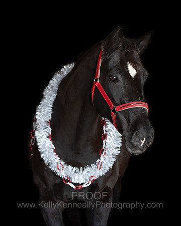 2020Holiday_Allie_0648