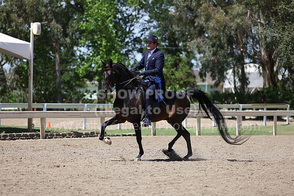 DAHA22_Thurs_1364