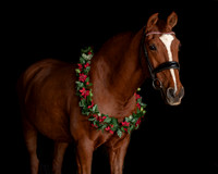 2020Holiday_Donna&Gary_0187