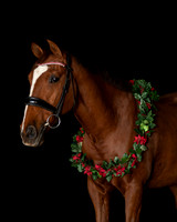 2020Holiday_Donna&Gary_0195
