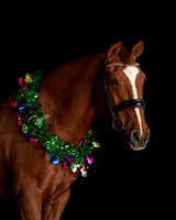 2020Holiday_Donna&Gary_0206
