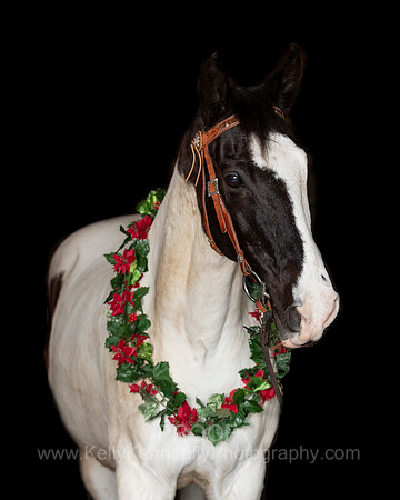 2020Holiday_Jedi_1179