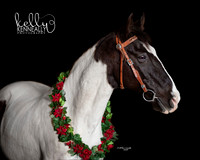 2020Holiday_Jedi_1183