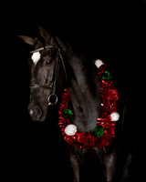 2020Holiday_Spy_0499