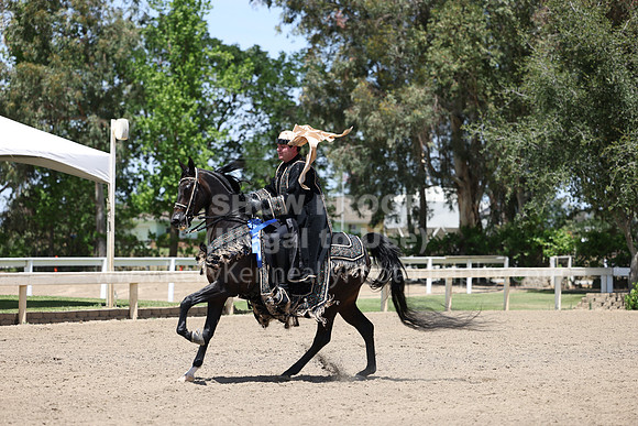 DAHA22_Thurs_1166