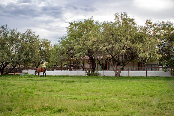 RS_MainHouse_Backyard-Pasture_0241