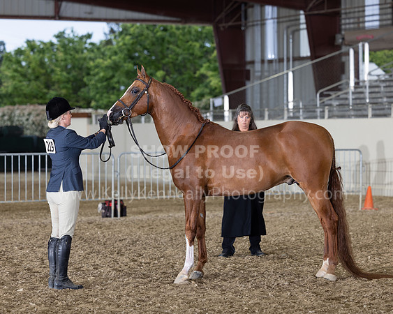 AHANC22_R5_Wed_0425