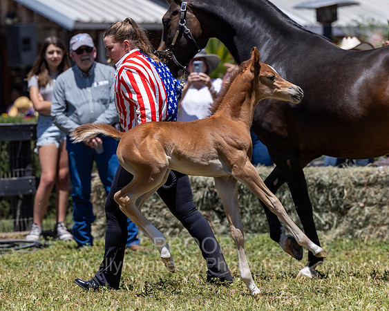 ShermanRanch0524_3448