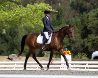 381 ~ Fleeting Groom