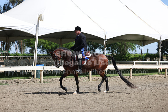 DAHA22_Thurs_0795