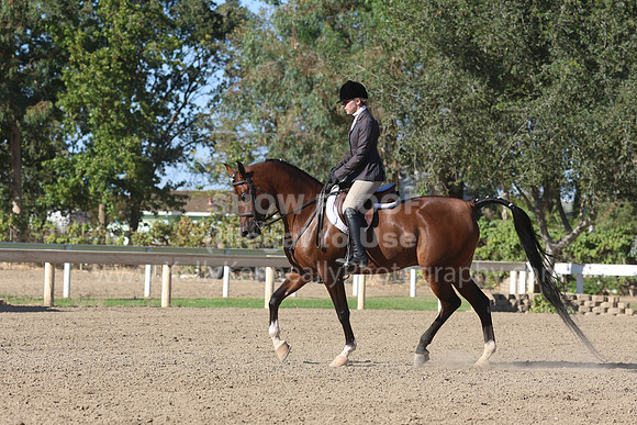 DAHA_FF22_3445