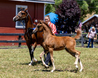 ShermanRanch0524_0360
