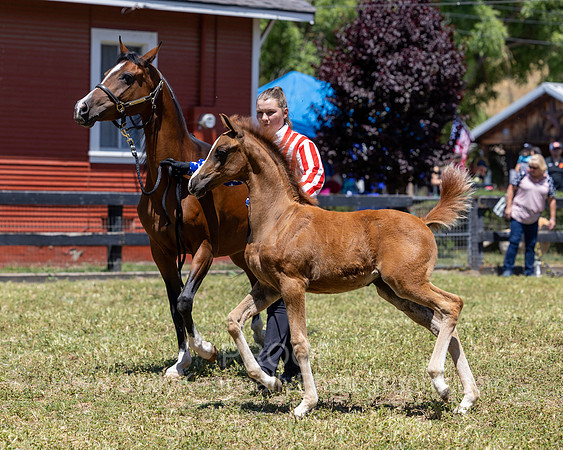 ShermanRanch0524_0360