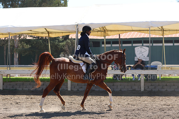 DAHA_FF22_2620