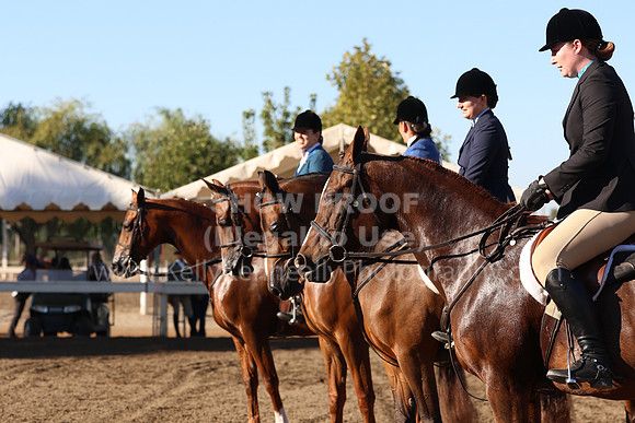 DAHA_FF22_3850