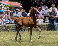 ShermanRanch0524_0401