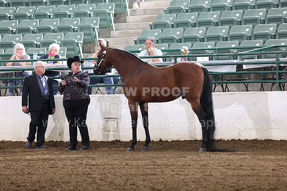 R322_CH_Thurs_2784