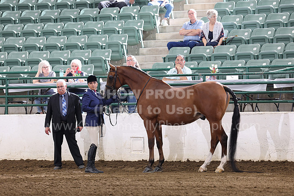 R322_CH_Thurs_2769