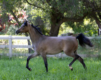 LaVitaBellaRA_Apr25_6046
