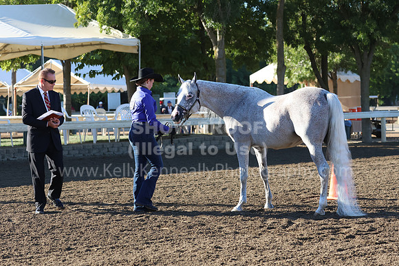DAHA_FF22_3790