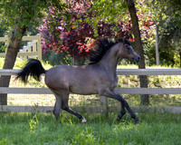 LaVitaBellaRA_Apr25_5698