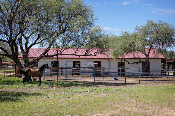 RS_ShowBarn_0487