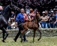 ShermanRanch0524_3190