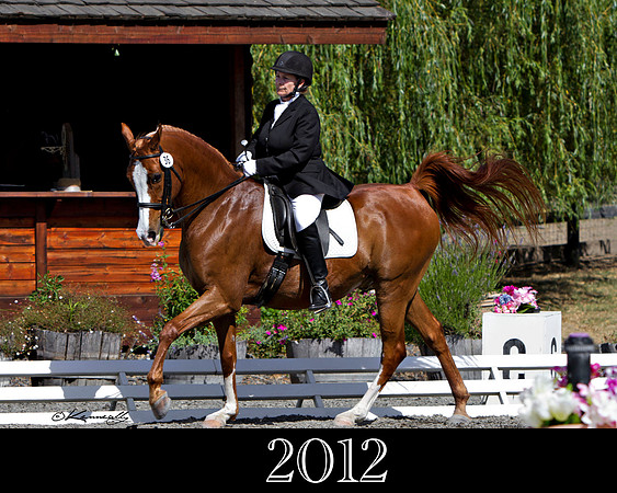 2012_KKPwebsite_36_6235
