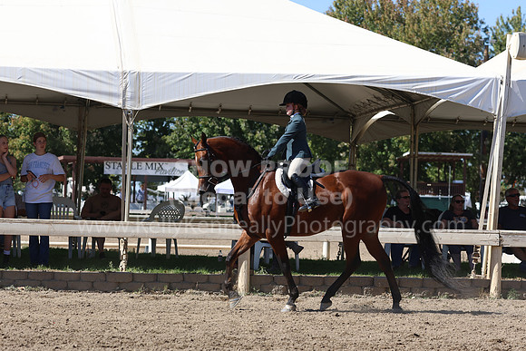 DAHA_FF22_3117