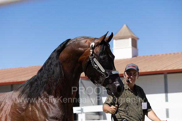 BeckersExtravaganza24_Sat1_0662