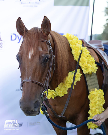 TTRDerby24_4962