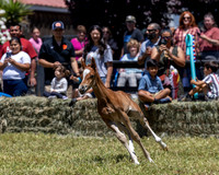 ShermanRanch0524_3450