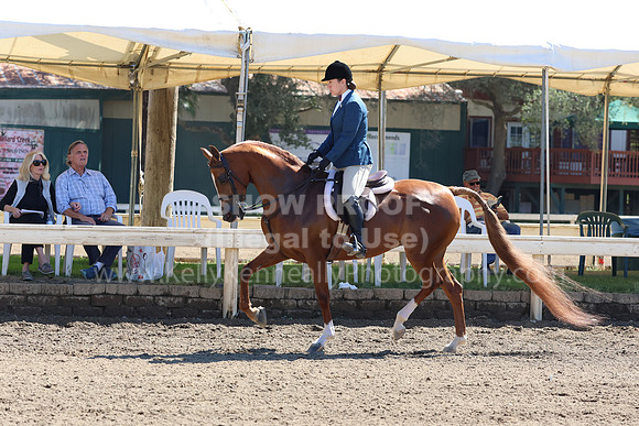 DAHA_FF22_0976