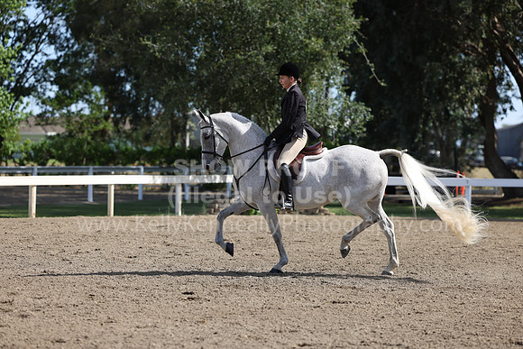 DAHA22_Thurs_0664