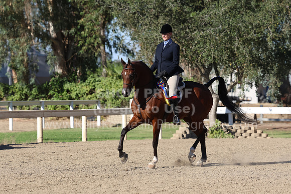 DAHA_FF22_3450