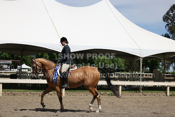 DAHA22_Thurs_0869