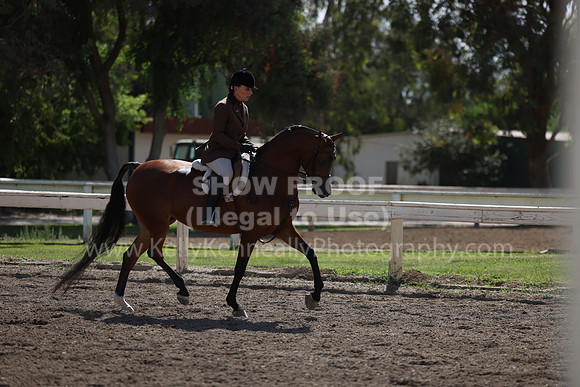DAHA22_Thurs_0702