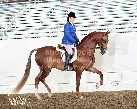 AHANC22_WedAM_0205fb