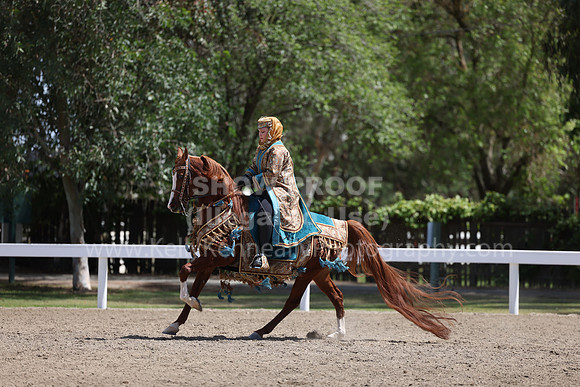 DAHA22_Thurs_0892