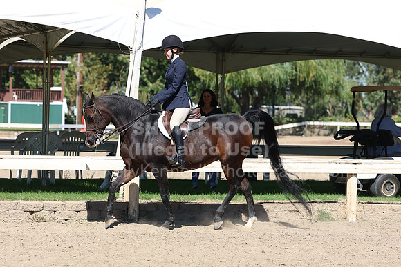 DAHA_FF22_2652