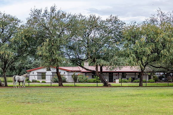RS_TrainersHouse_1788