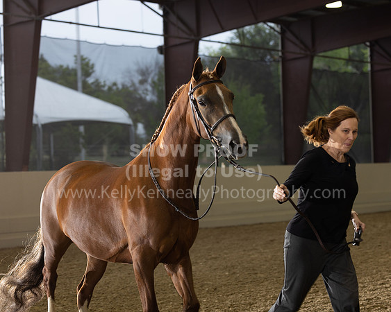 AHANC22_R5_Wed_0460